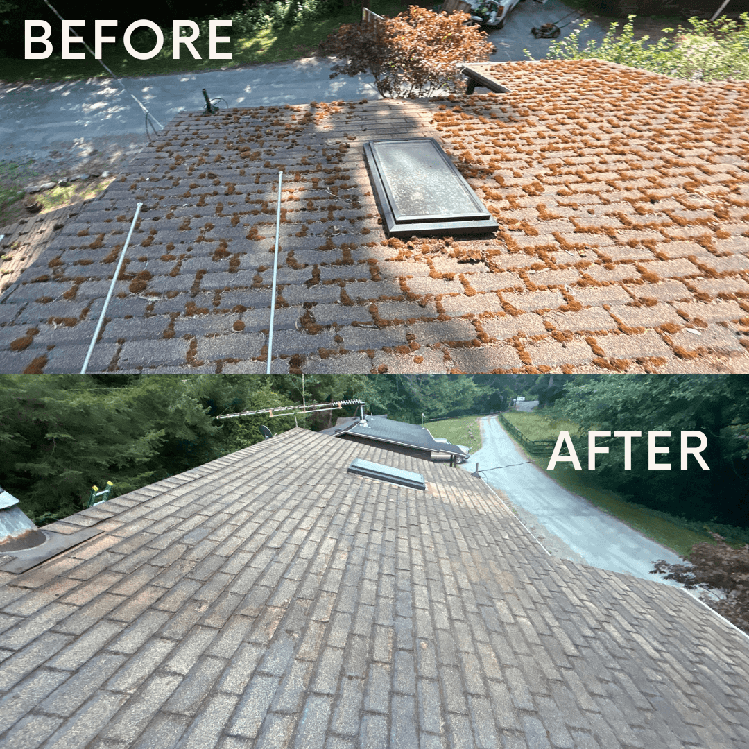 Before and after photos of a house roof, showing removal of moss and dirt.