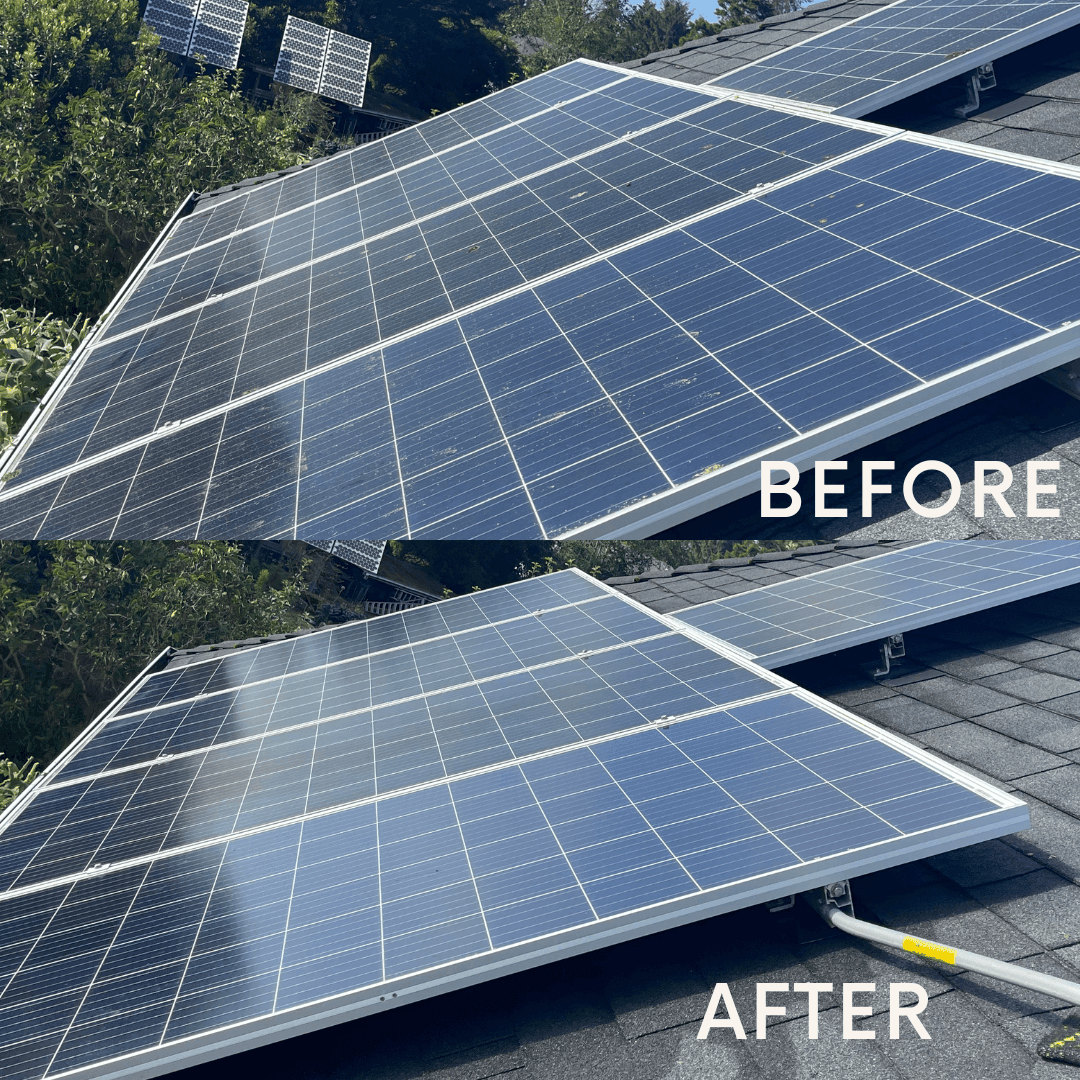 Solar Panel Cleaning