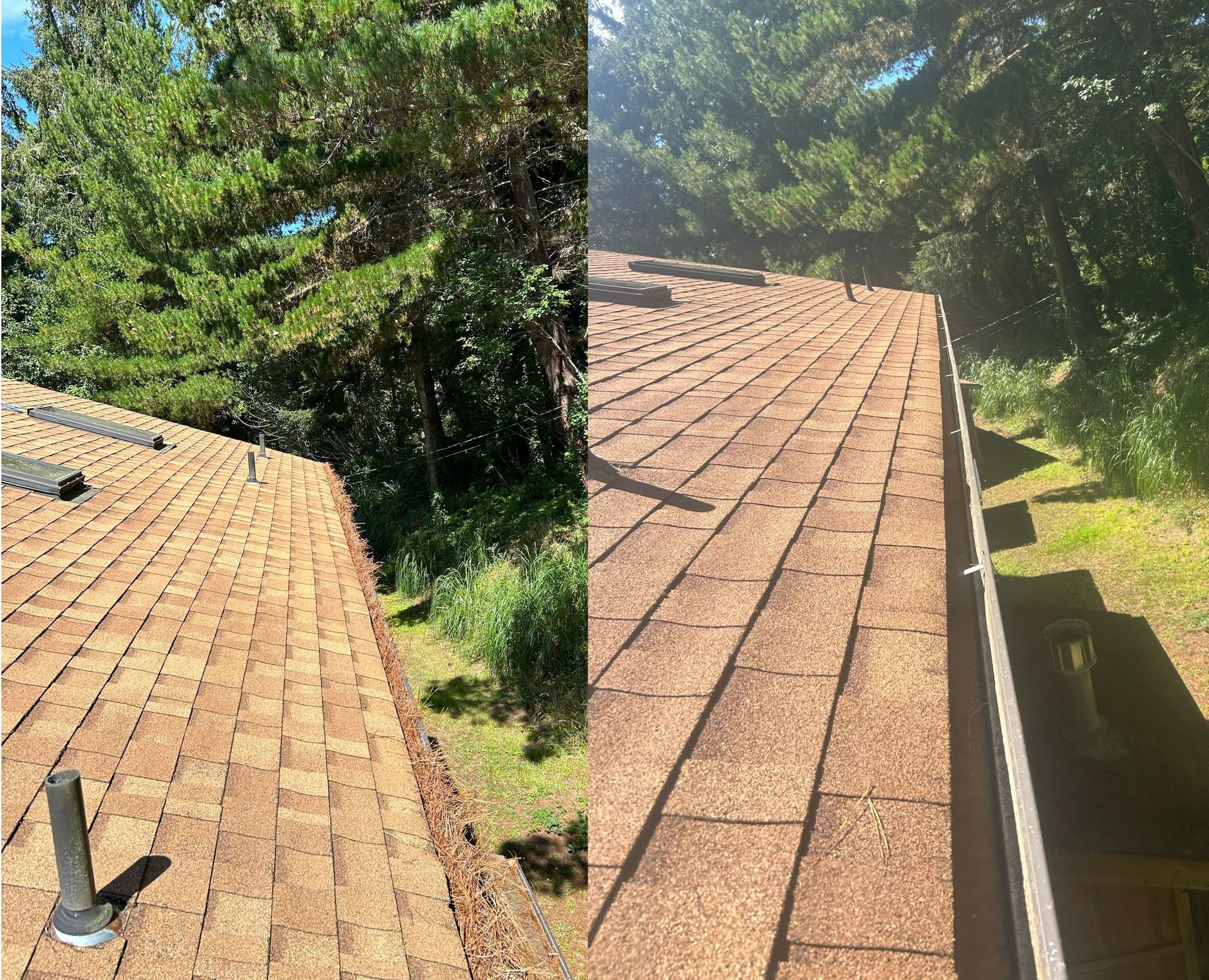 Rooftop view with brown shingles, surrounded by lush green trees under a clear blue sky.